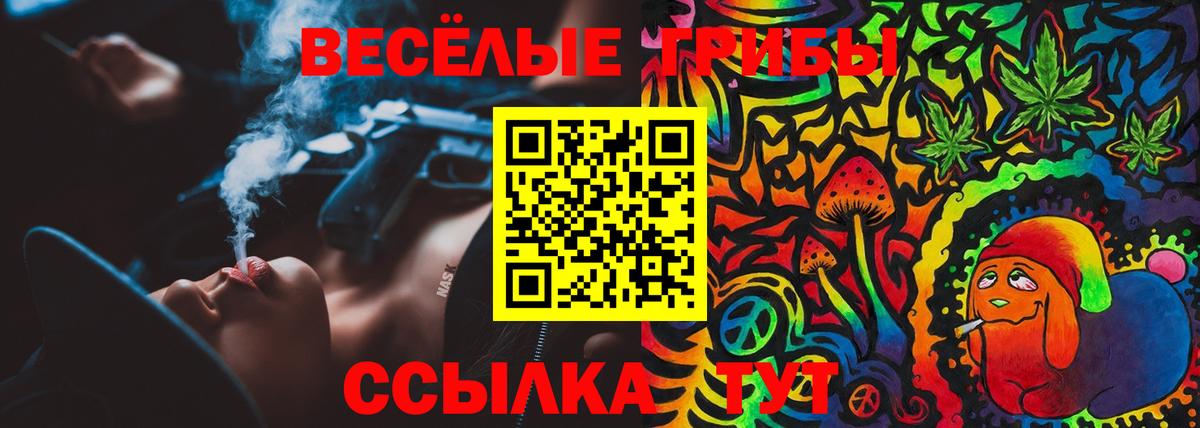 Мурино  Галлюциногенные грибы MAGIC MUSHROOMS  Вход с VPN 